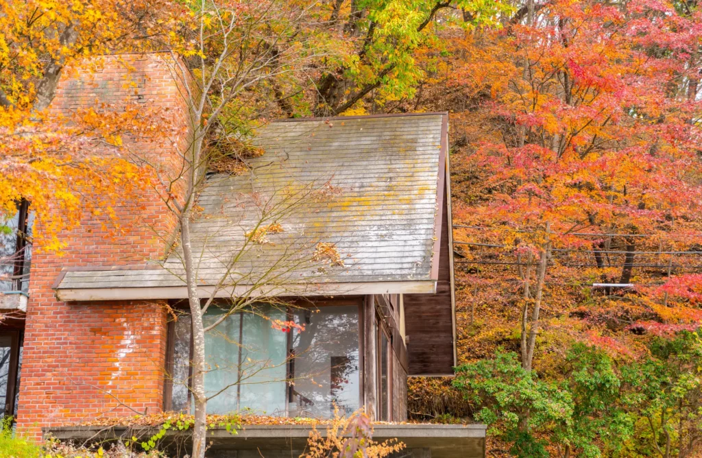 Herbststürme in der Schweiz: Vorsorge und Massnahmen