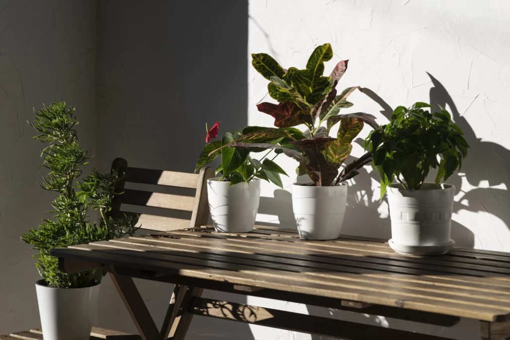 Gemüse ernten auf dem Balkon