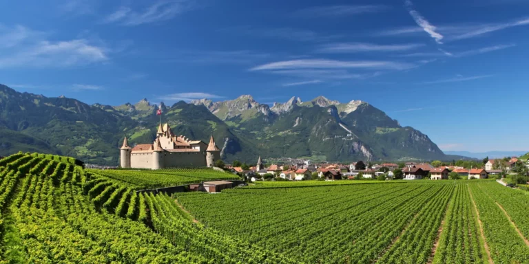 Aigle