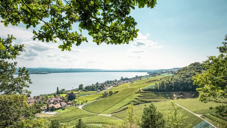 Mont-Vully