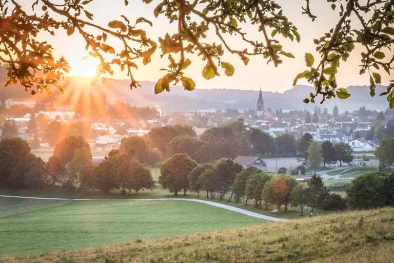 Münsingen